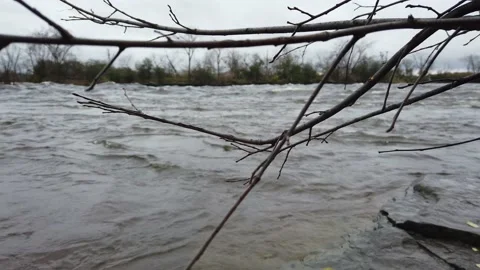 Fast flowing river low angle Stock Footage 143198502