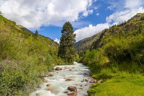 Fast-flowing river in lush mountain valley, Kyrgyzstan Фото