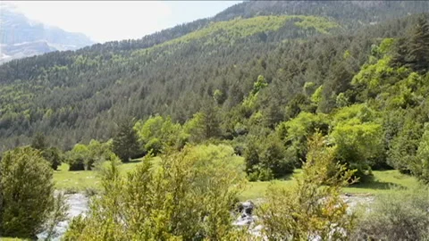 Fast flowing river in the middle of the forest in Ordesa National Park, Spain Видео 99001013