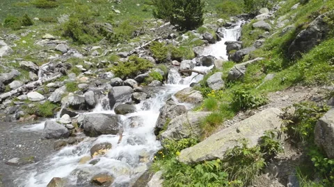 Fast flowing river in the middle of the forest in Ordesa National Park, Spain Видео 99001306
