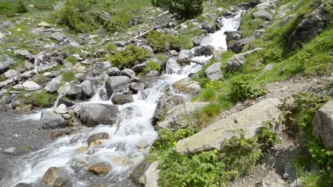 Fast flowing river in the middle of the forest in Ordesa National Park, Spain Видео 99001342