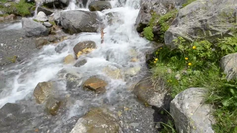 Fast flowing river in the middle of the forest in Ordesa National Park, Spain Видео 99001398
