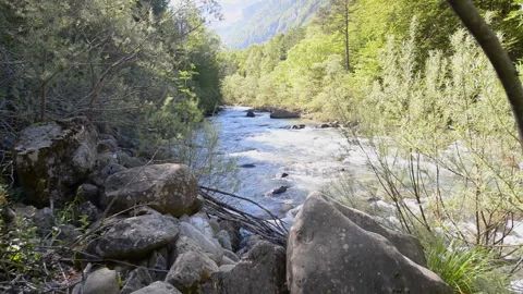 Fast flowing river in the middle of the forest in Ordesa National Park, Spain Видео 99001713