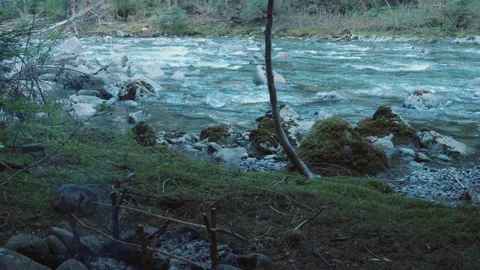 Fast-Flowing River with Mossy Rocks and Forest Bank | 4K Nature Footage Stock Footage 312084773