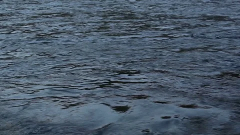 Fast flowing river or stream Stock Footage 93781560