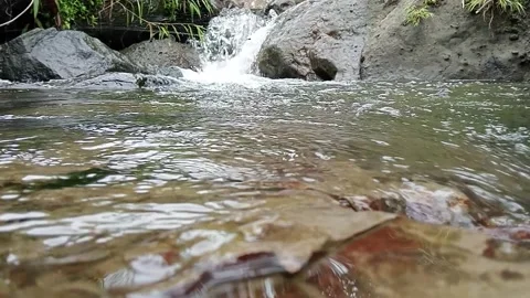 Fast Flowing River Over Rocks in Tropical Forest Stock Footage 329818462
