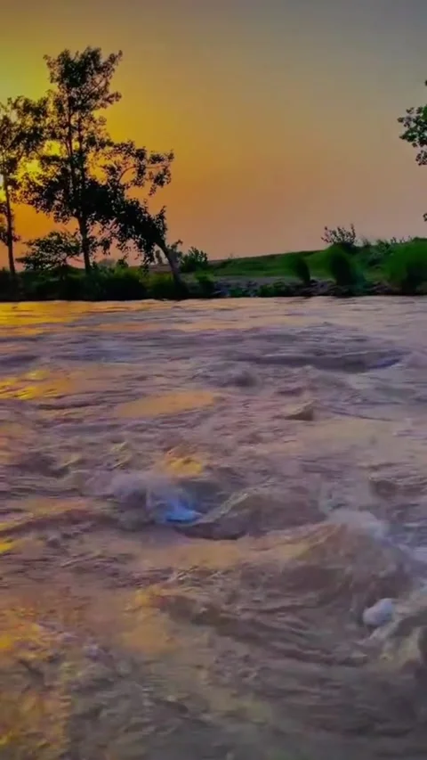 Fast Flowing River Rapid at Sunset. Vídeos de archivo 336636548
