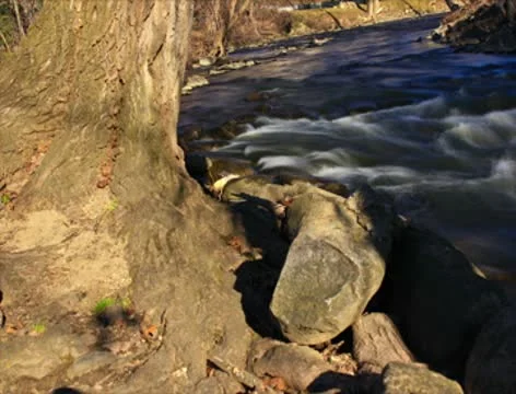 Fast flowing river rapids - 2K Stock Footage 10573990