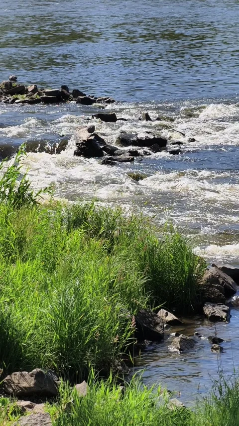 Fast Flowing River Rapids and Green Riverbank Vertical 4K Slow Motion Video stock 336618167