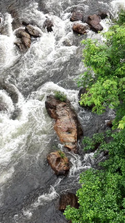 Fast flowing river rapids cutting between rocks in a lush tropical forest Stock Footage 340813858