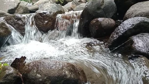 Fast Flowing River Rapids Over Stones | Fresh Natural Water Stream Stock Footage 330561324