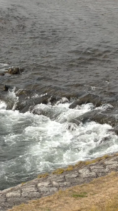 Fast Flowing River Rapids Over Rocks Near Grassy Bank Stock Footage 337535539