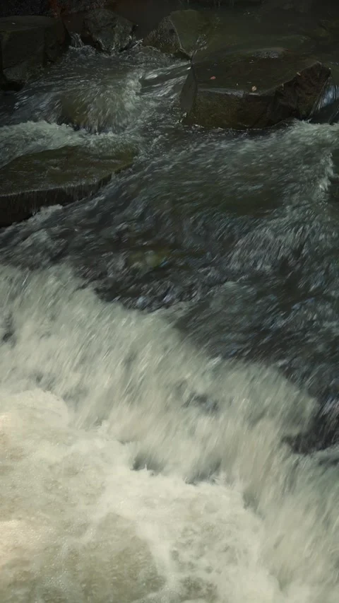 Fast flowing river rapids over dark rocks with cicada sounds Vidéo 345779857