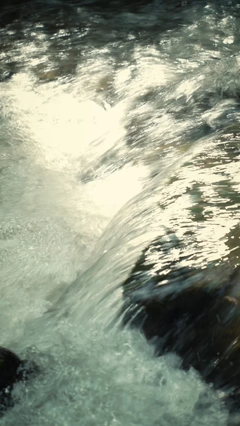 Fast flowing river rapids with sunlight reflection and cicada sounds Vidéo 345781250