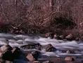 Fast flowing river rapids-Time Lapse 2K Web Footage
