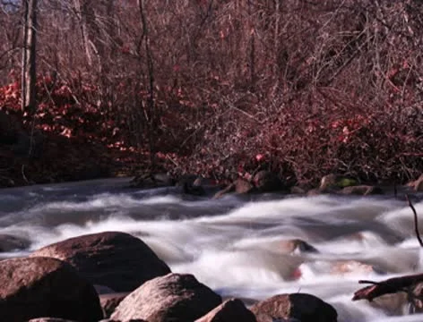 Fast flowing river rapids-Time Lapse 2K Vídeos de archivo 9174587