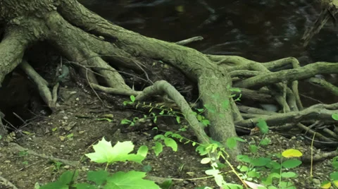 Fast flowing river rapids-time lapse &amp; zoom out Stock Footage 32303348