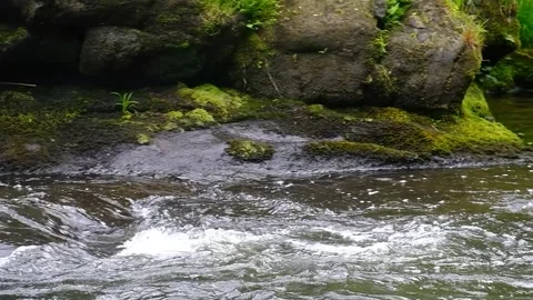 Fast Flowing River reduces to calm - Slow Motion Stock Footage 243785210