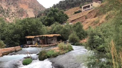Fast Flowing River with Small Waterfall and Rustic House Landscape Stock Footage 331103607