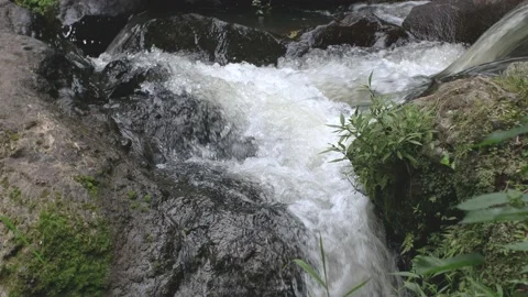 The fast flowing river is surrounded by rocks and grass Stock Footage 233656697