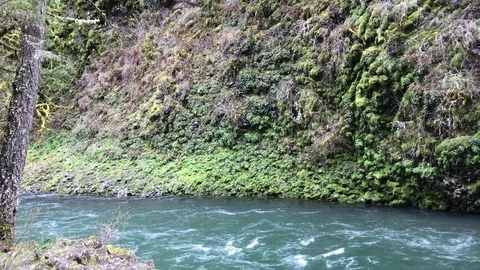 Fast flowing river volcanic moss covered rock Vídeos de archivo 76504489
