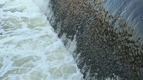 Fast-Flowing River Water Cascading Over a Small Weir Stock Footage 341536537