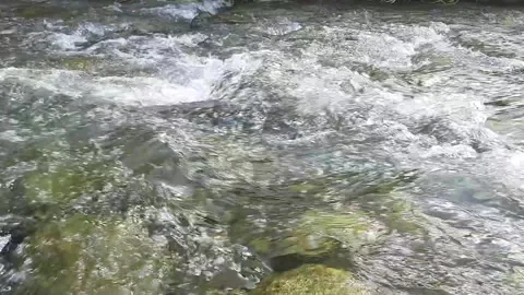 Fast flowing river water creating splashes and foam over rocks in dynamic n.. Stock Footage 335126988