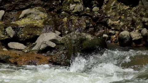 Fast flowing river water Video stock 292841626