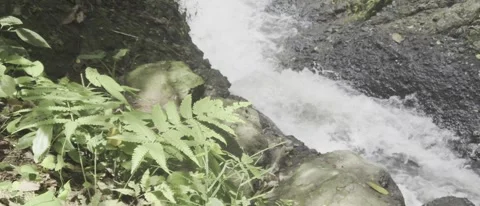 Fast-flowing river water Видео 296737038