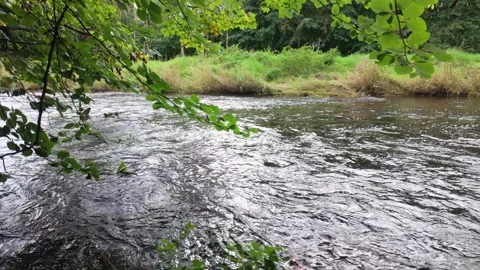 Fast flowing river water low angle Stock-Footage 317782833