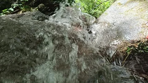 Fast Flowing River Water Over Stones in Green Forest Stock Footage 330591297