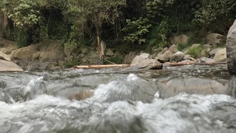 Fast Flowing River Water Splashing Over Rocks in Forest Video stock 334488205