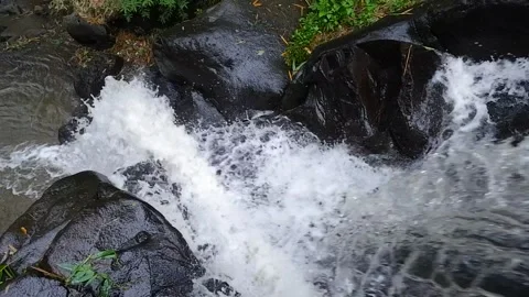 The fast flowing river water through the rocks and wild plants Stock-Footage 149722546