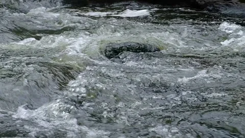 Fast Flowing River - Waterfall Base - Slow Motion Stock Footage 243785166