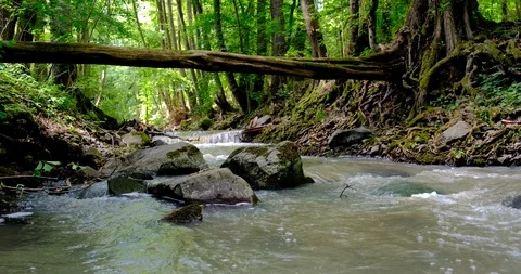 Fast flowing river in a wild area . Stock Footage 124807561