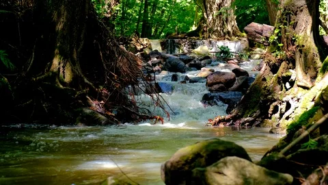 Fast flowing river in a wild area Stock Footage 124807609