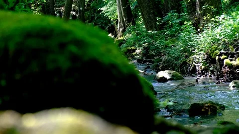 Fast flowing river in a wild area . Stock Footage 124926675