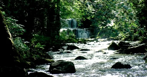 Fast flowing river in a wild area Stock Footage 124926796