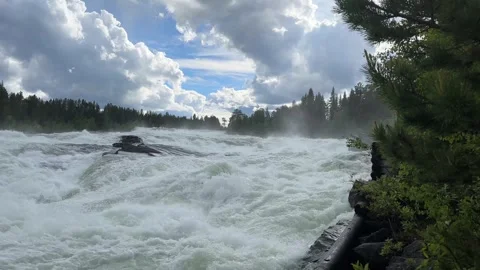 Fast flowing river/waterfall through a forest Stock Footage 288011695