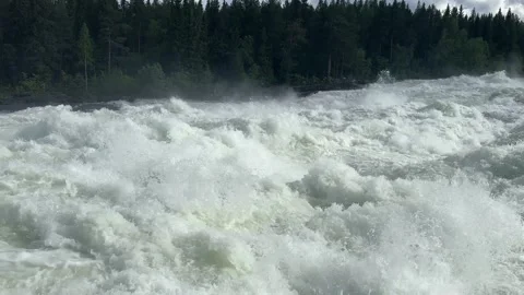 Fast flowing river/waterfall through a forest Stock Footage 288011698
