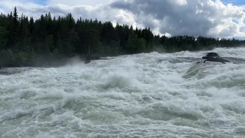 Fast flowing river/waterfall through a forest Stock Footage 288011700