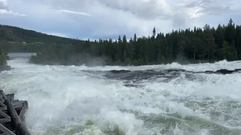 Fast flowing river/waterfall through a forest Stock Footage 288011708