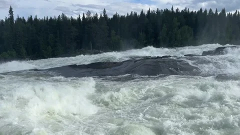 Fast flowing river/waterfall through a forest Stock Footage 288011709