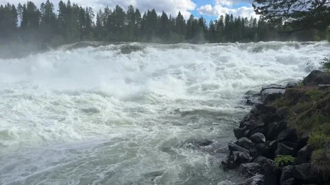 Fast flowing river/waterfall through a forest Stock Footage 288011711