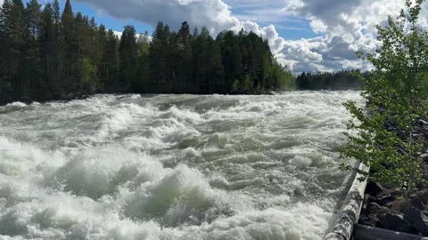 Fast flowing river/waterfall through a forest Stock Footage 288011718