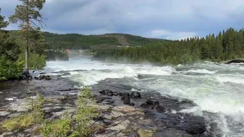 Fast flowing river/waterfall through a forest Stock Footage 288011721