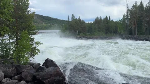 Fast flowing river/waterfall through a forest Stock Footage 288011723