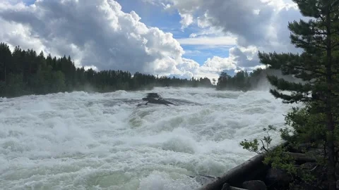 Fast flowing river/waterfall through a forest Stock Footage 288011727