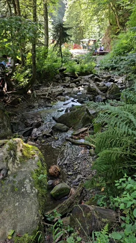Fast-Flowing Rocky River in Wild Nature, Cinematic 4K Drone Shot Stock Footage 312694091