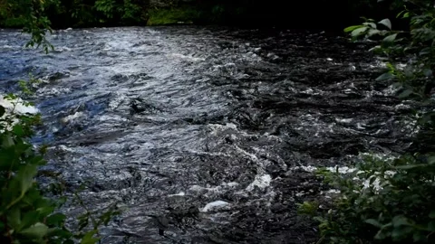 Fast Flowing Scottish River Stock Footage 277335010